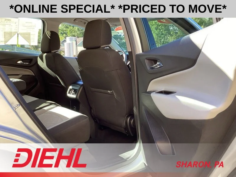 Used 2019 Silver Chevrolet LS image 13