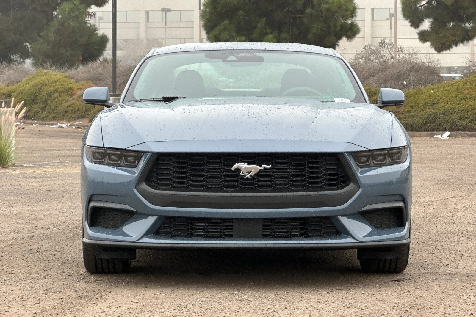 New 2026 Vapor Blue Metallic Ford EcoBoost® Fastback image 5