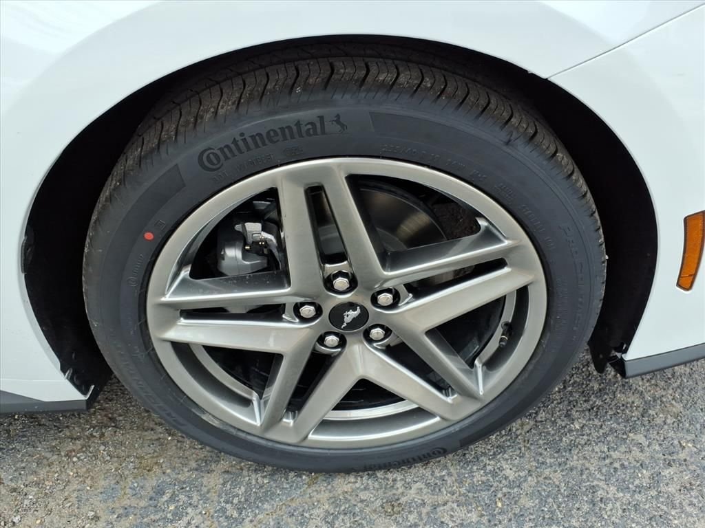 New 2026 Oxford White Ford EcoBoost® Premium Fastback image 7