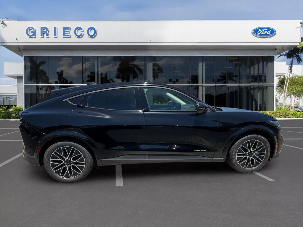 New 2026 Shadow Black Ford Premium image 6