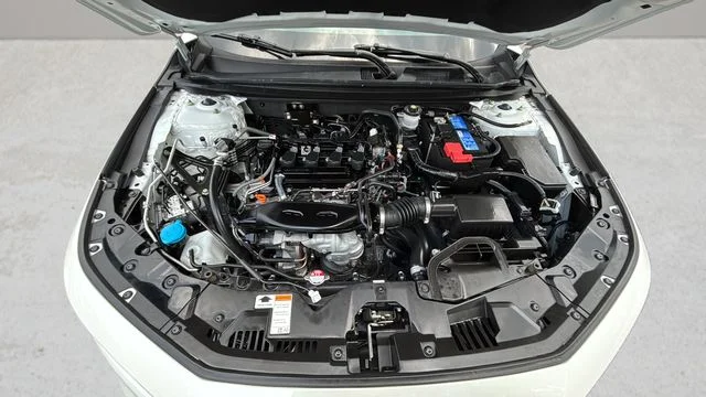 Used 2024  Honda LX image 31