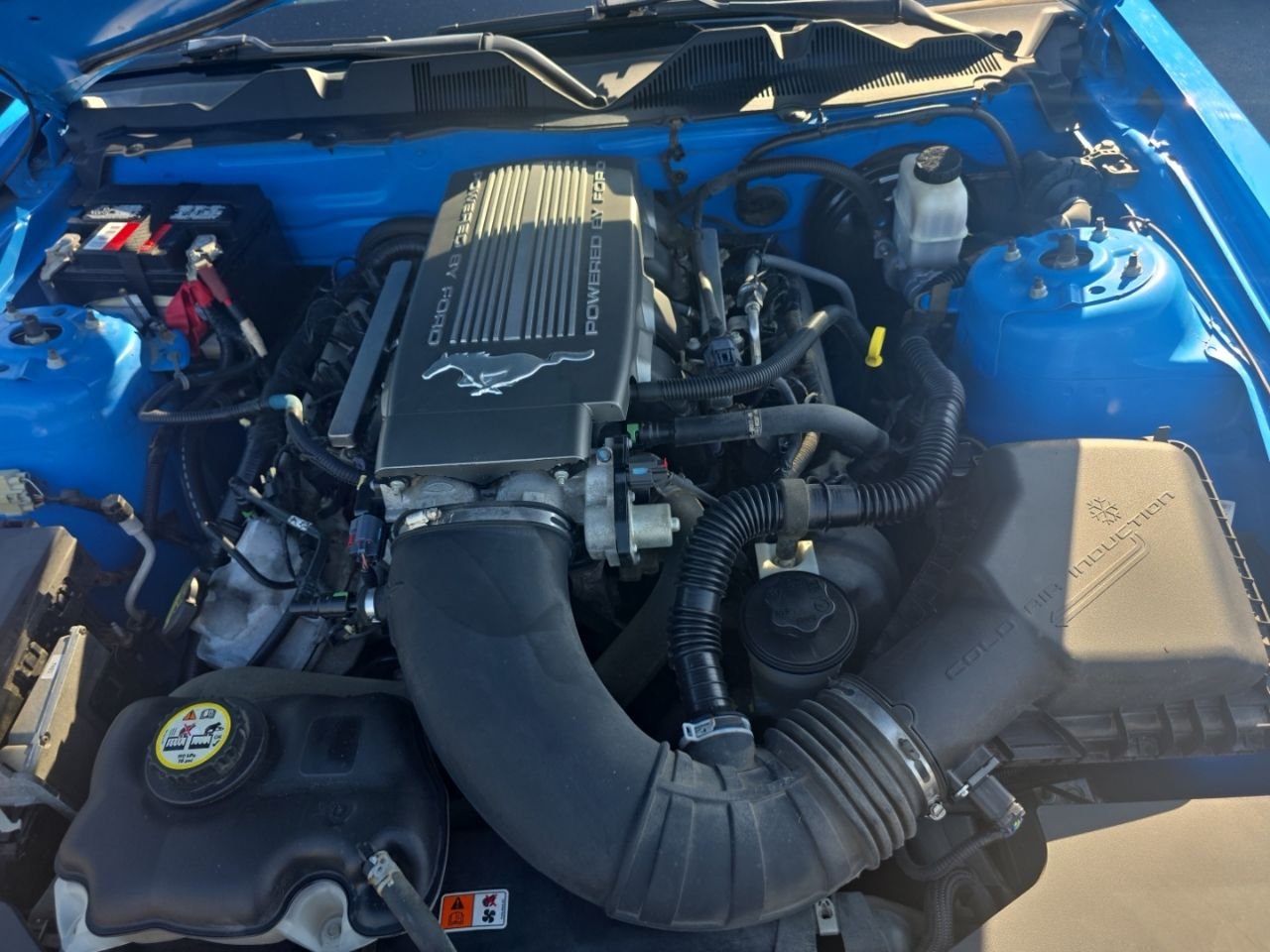 Used 2010  Ford GT Premium image 36