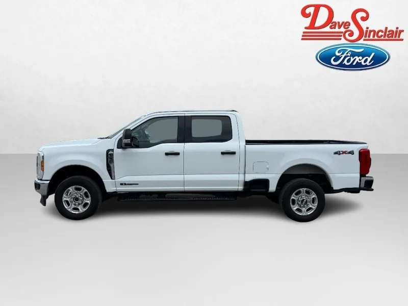 Used 2025 White Ford XLT image 10