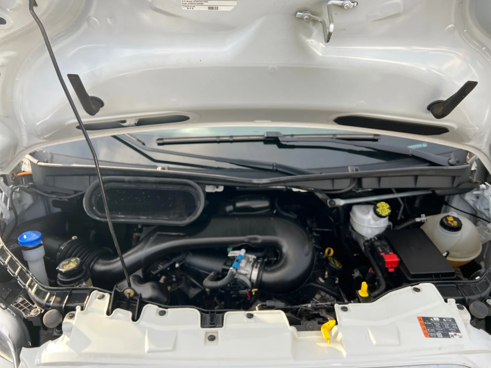 Used 2019 Oxford White Ford XLT T-350 148