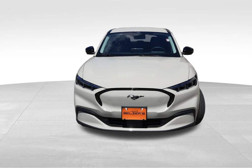 Used 2025 Desert Sand Ford Premium image 12
