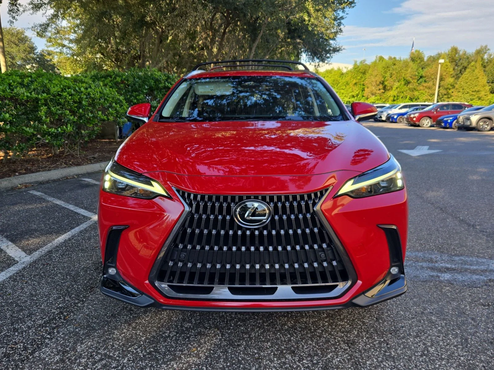 Used 2025 Redline Lexus NX 350h Premium image 2