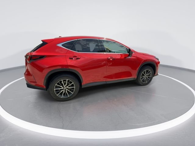 2024 Lexus NX 250 - Photo 8