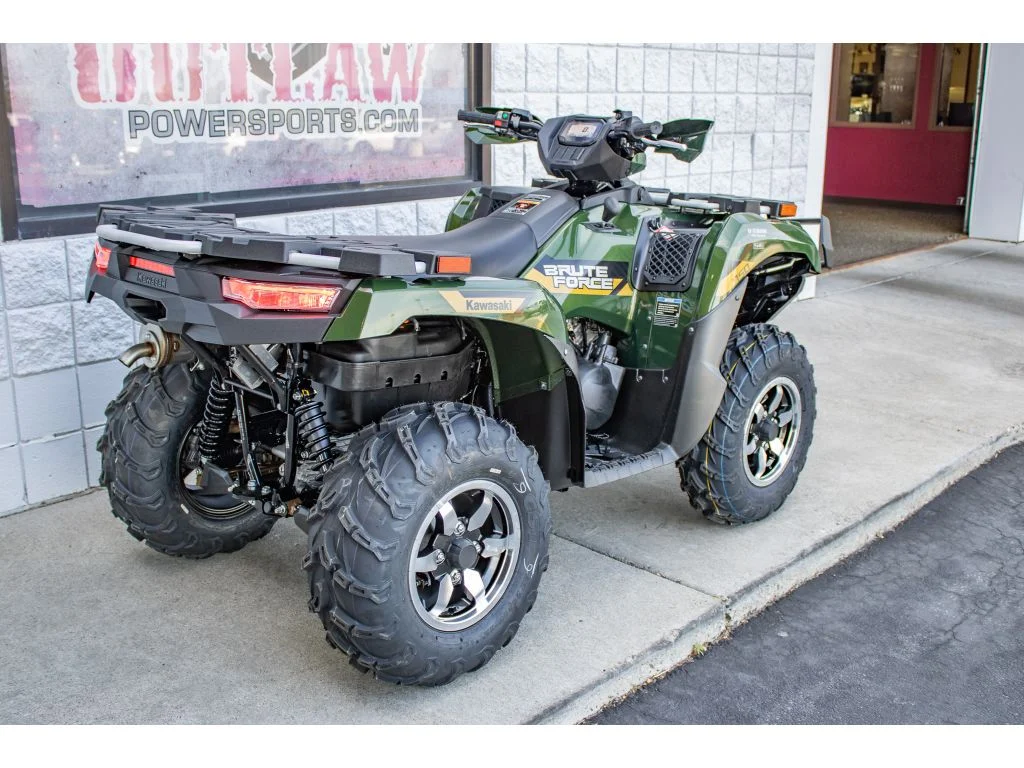New 2026 Metallic Gold Sparkle Deep Green Kawasaki  image 9