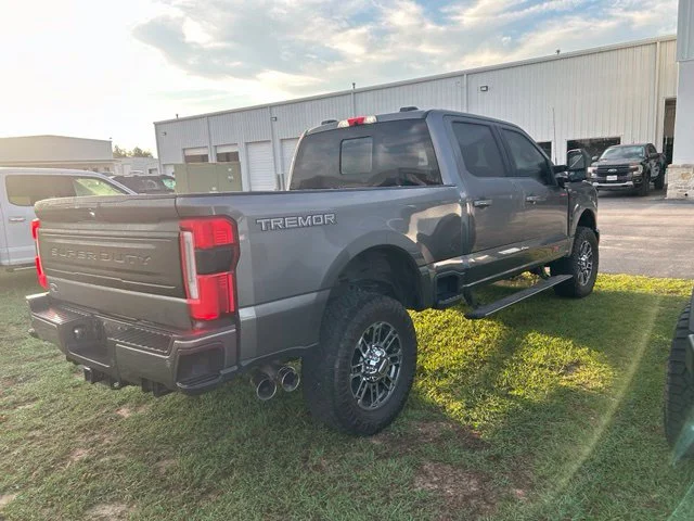 Used 2025 Gray Ford Platinum image 3