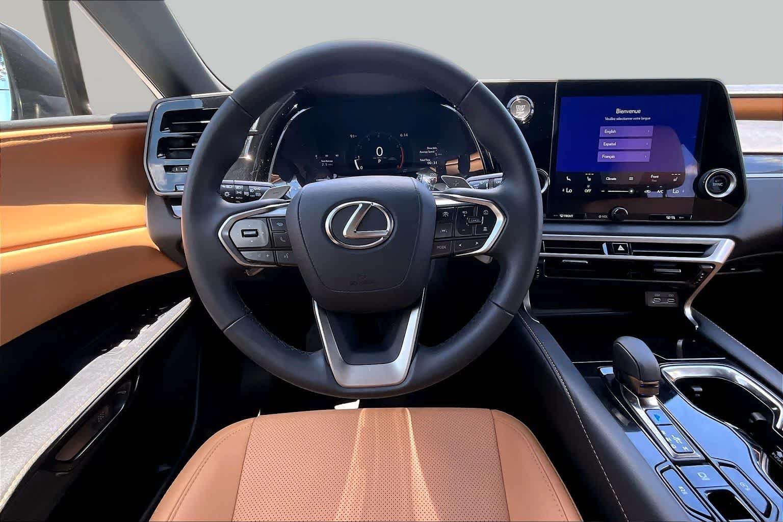 Used 2025 Cloudburst Gray Lexus  image 6