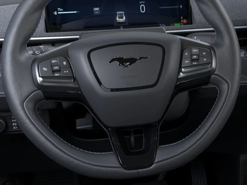 2025 Ford Mustang Mach-E GT - Photo 12