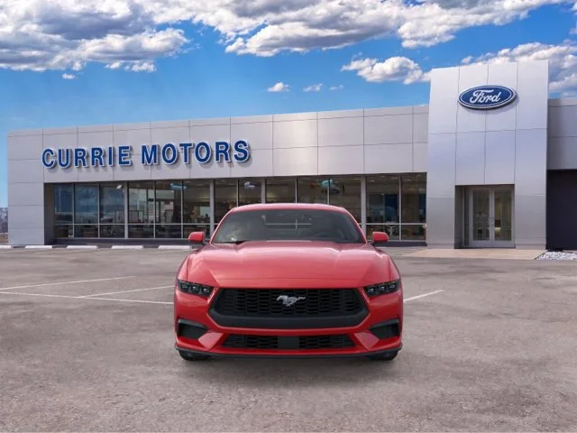 New 2026 Race Red Ford EcoBoost Premium image 6