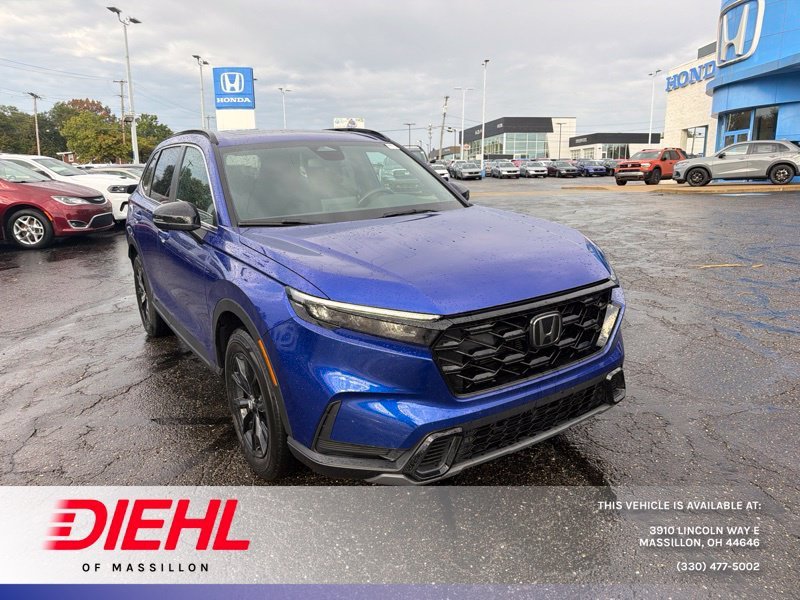 Used 2024 Blue Honda Sport image 1