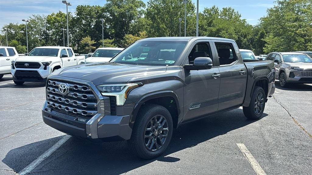 New 2026 Magnetic Gray Metallic Toyota  Platinum image 2