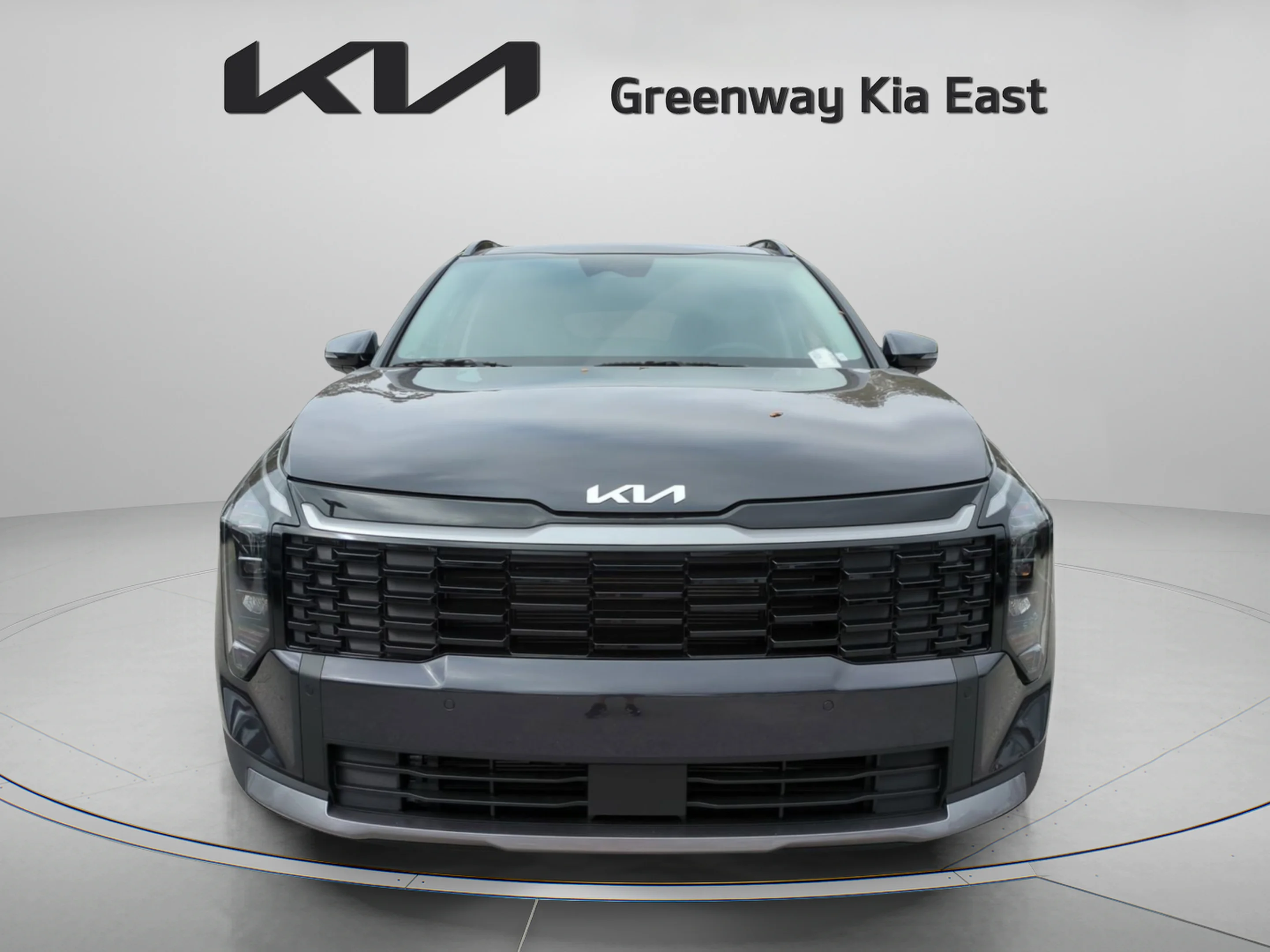 New 2026 Panthera Metal Gray Kia EX image 11