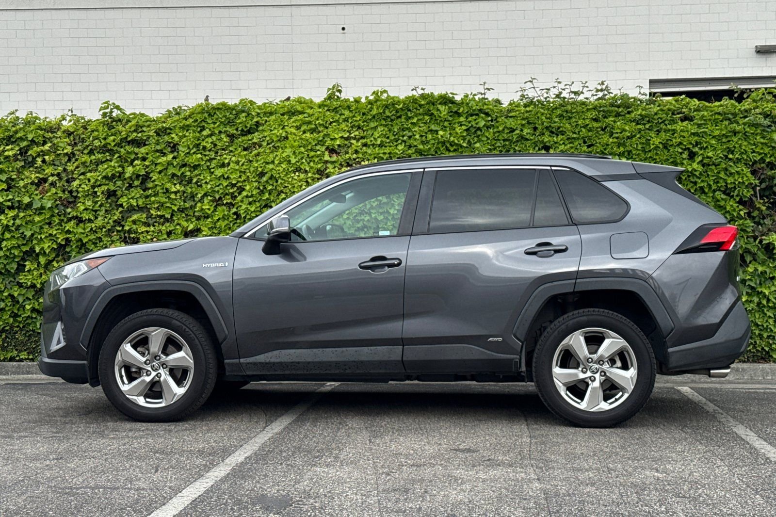 2021 Toyota RAV4 Hybrid XLE Premium photo 6
