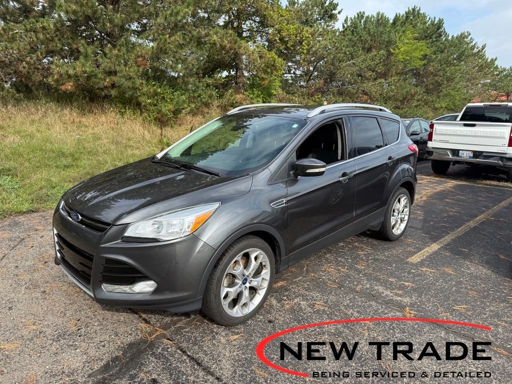 Used 2015 Gray Ford Titanium image 1