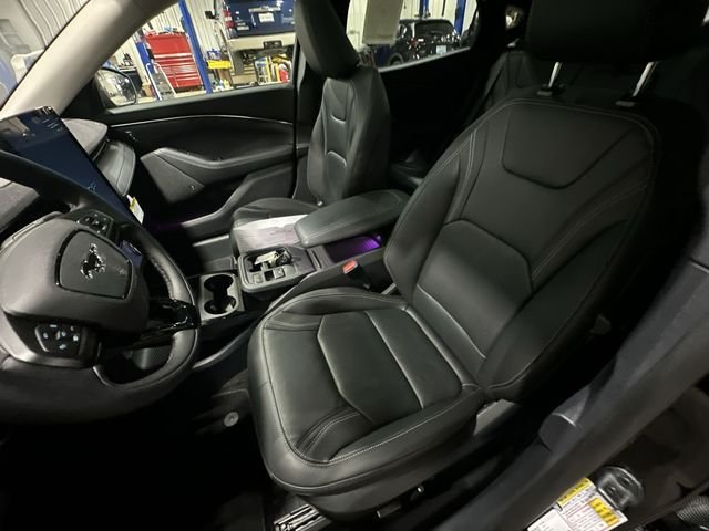 New 2026 Shadow Black Ford Premium image 17