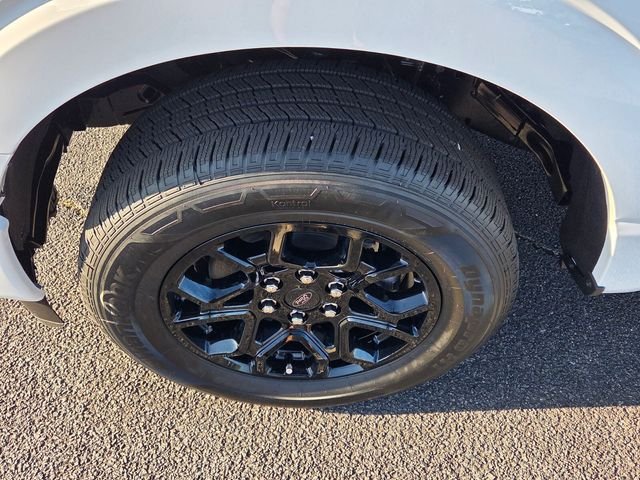 New 2026 Oxford White Ford XLT image 39