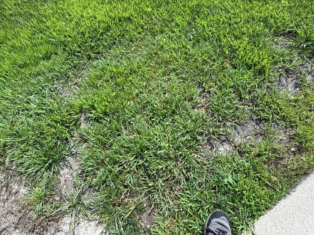 JTJGARDZ4L2226606
