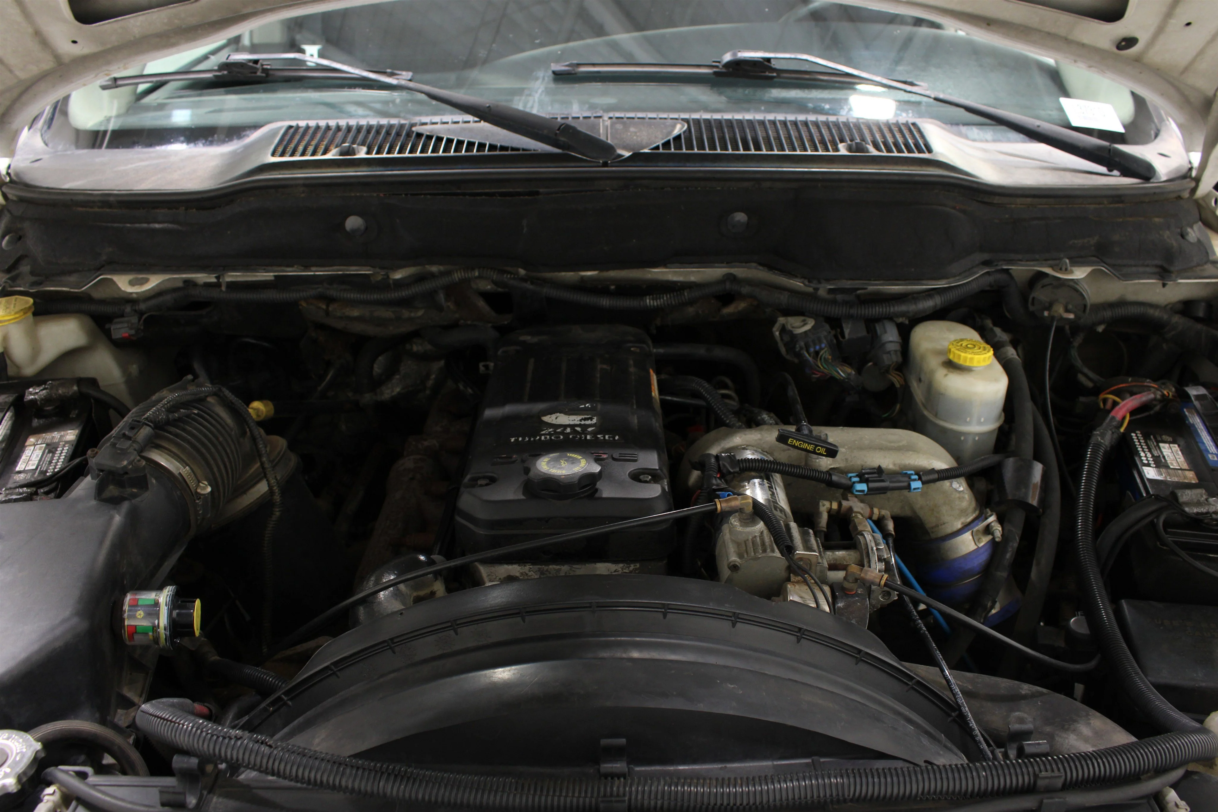 Used 2005 Bright White Dodge SLT image 34