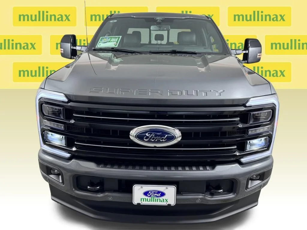 New 2026 Gray Ford Platinum image 15