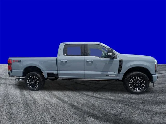 New 2026 Gray Ford Platinum image 3