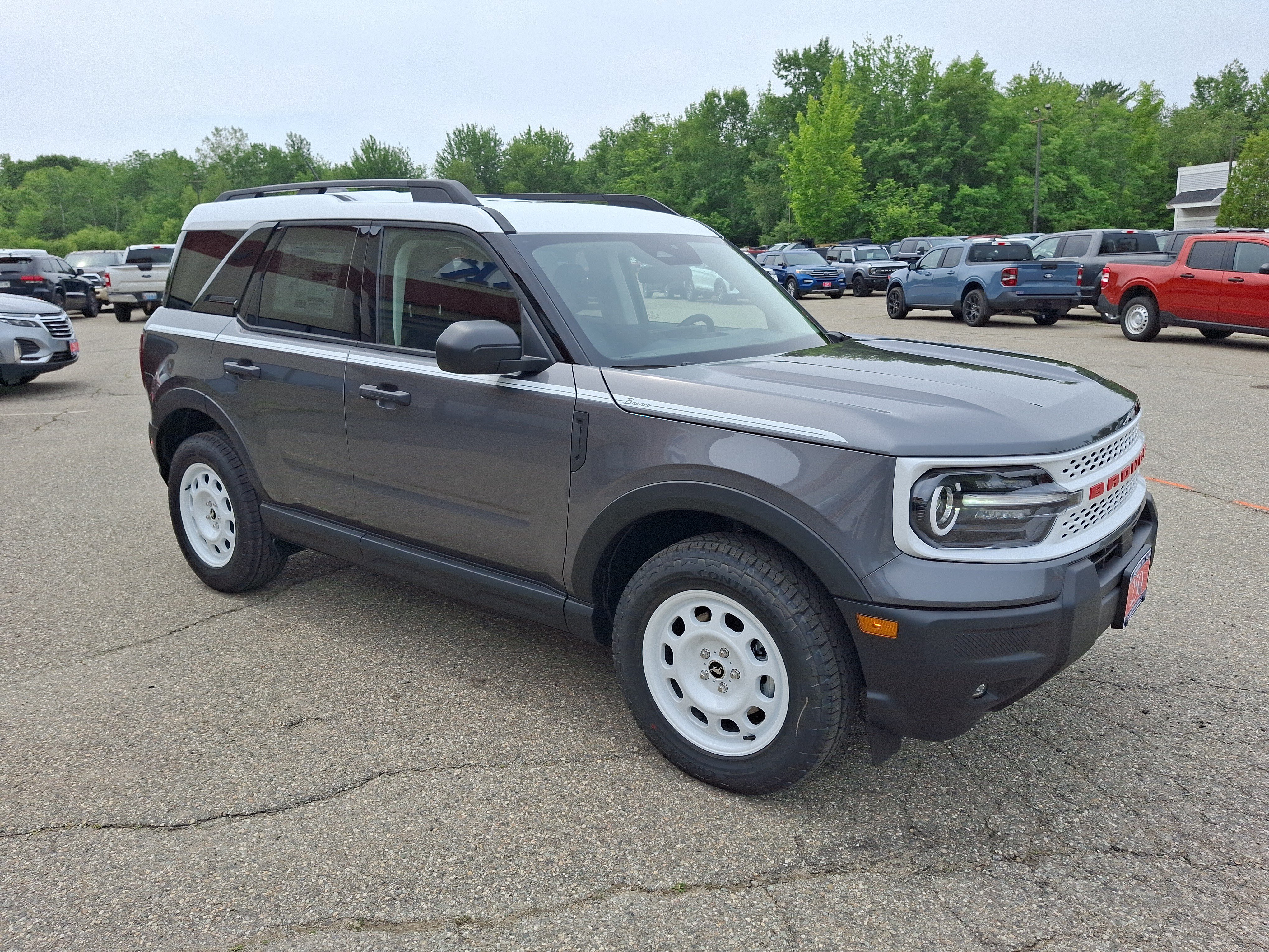 New 2026 Carbonized Gray Metallic Ford Heritage image 4