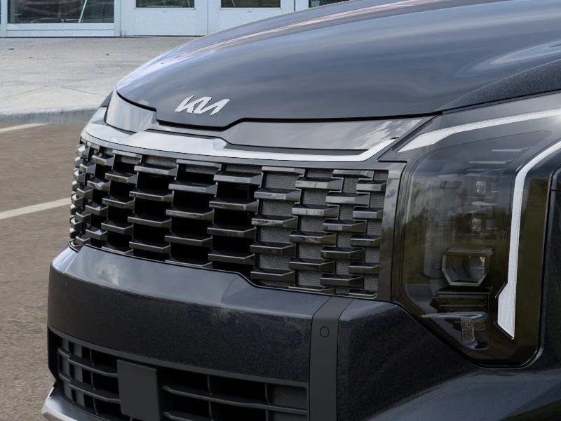 New 2026 Panthera Metal Kia EX image 12