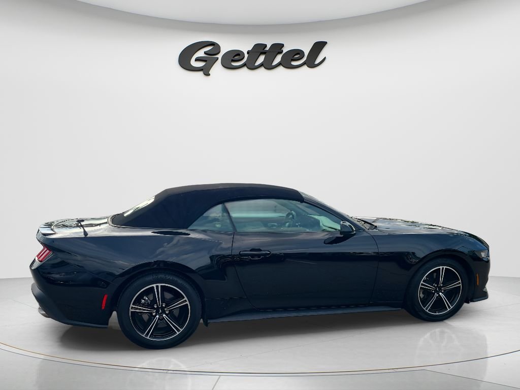 Used 2024 Black Ford EcoBoost Premium image 4