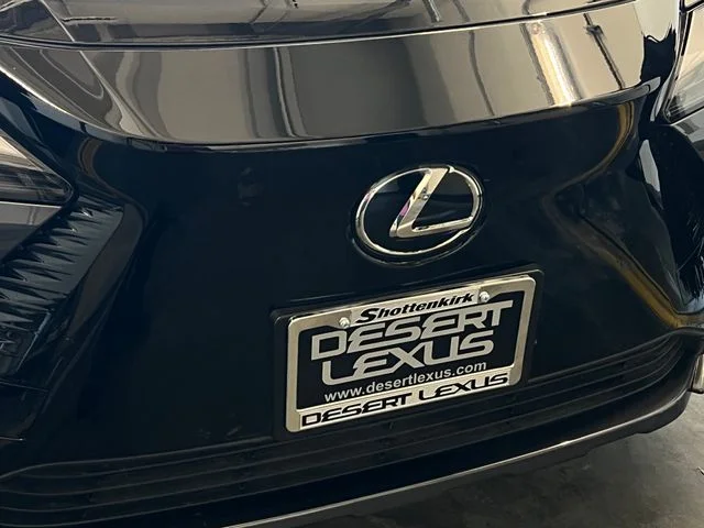 Used 2024 Cloudburst Gray/Black Lexus 300e Premium image 16