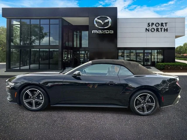 Used 2024 Black Ford EcoBoost Premium image 6