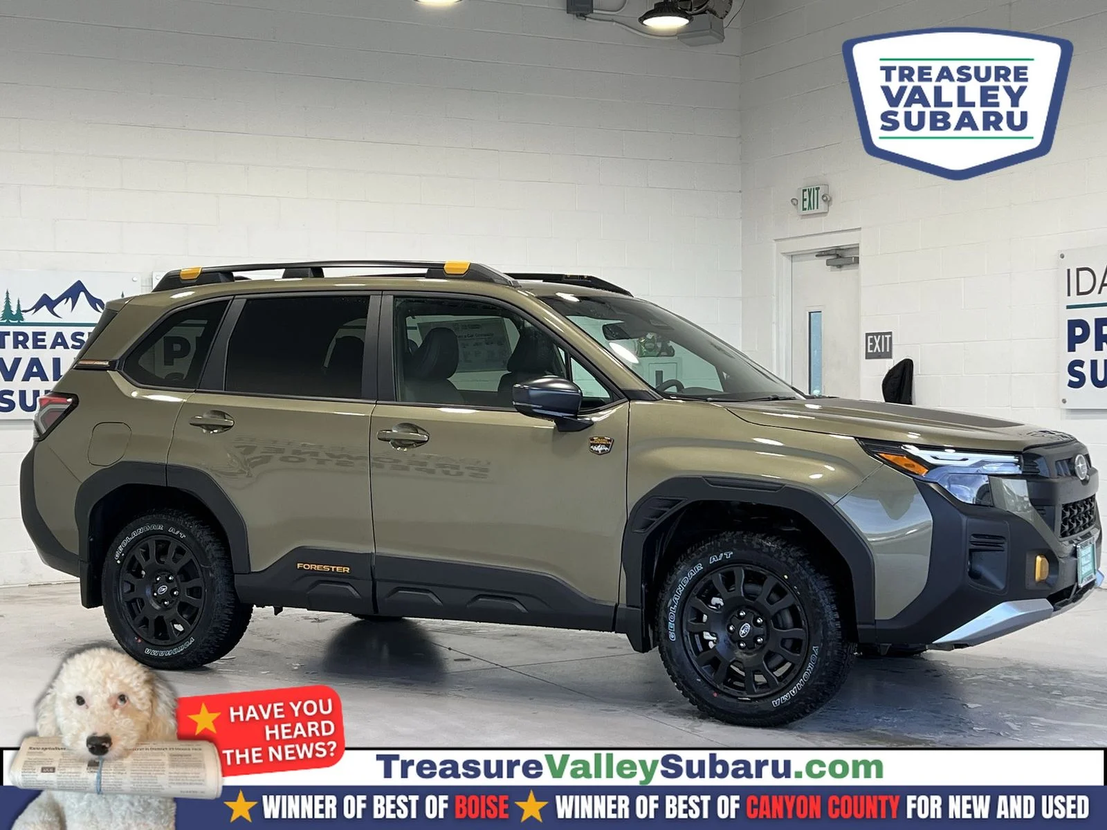 2026 Subaru Forester Wilderness's photo