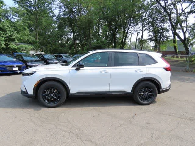 New 2026 Platinum White Pearl Honda Sport image 3