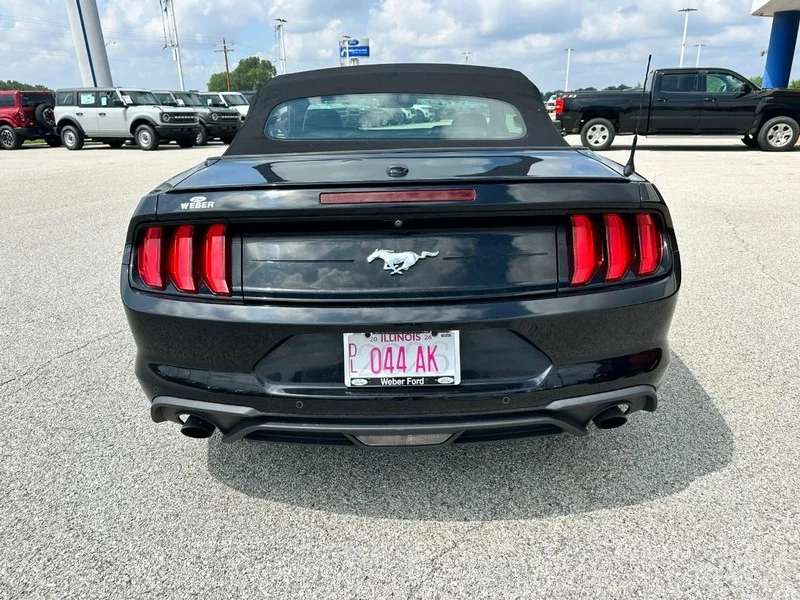 Used 2019 Shadow Black Ford EcoBoost Premium Convertible image 4