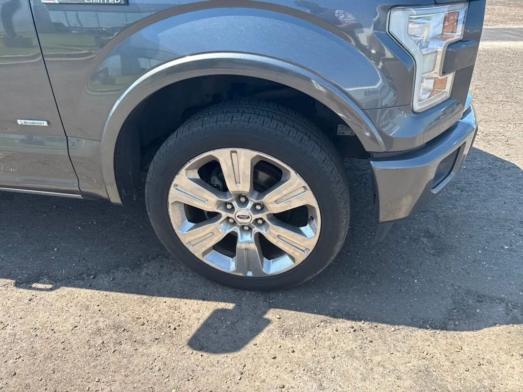 Used 2017 Magnetic Ford Limited image 22