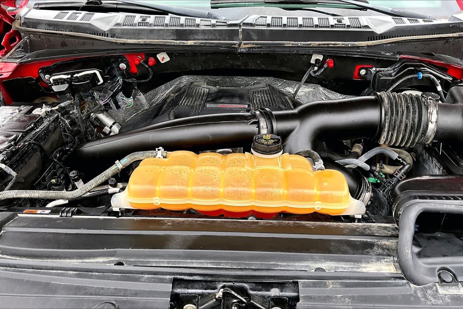 Used 2018 Race Red Ford Raptor image 32