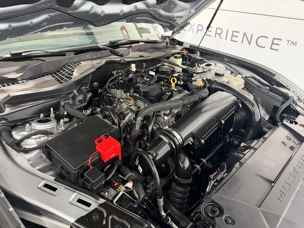 2024 Ford Mustang EcoBoost Premium - Photo 6