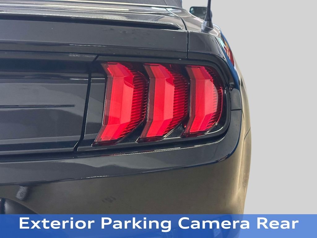 Used 2019 Shadow Black Ford EcoBoost Premium image 28