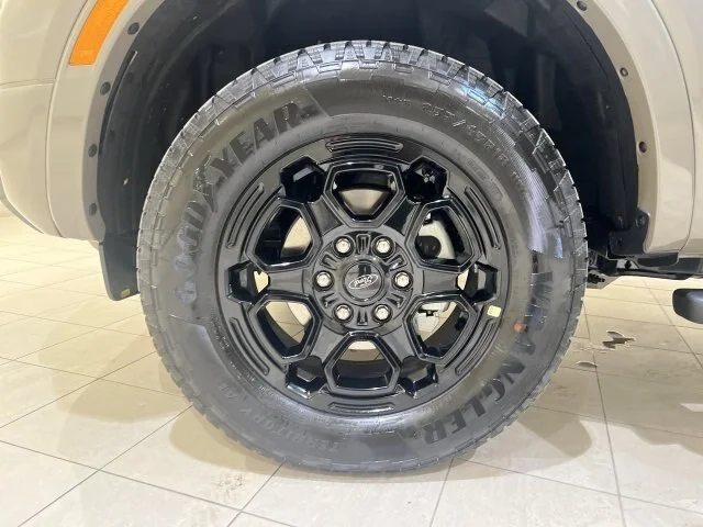 New 2026 Marsh Gray Ford Lariat® image 59