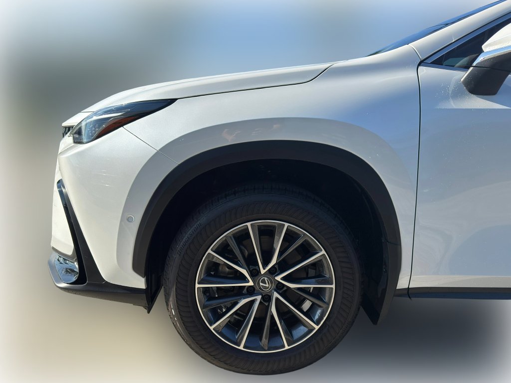 Certified Used 2025 Eminent White Pearl Lexus Luxury image 5