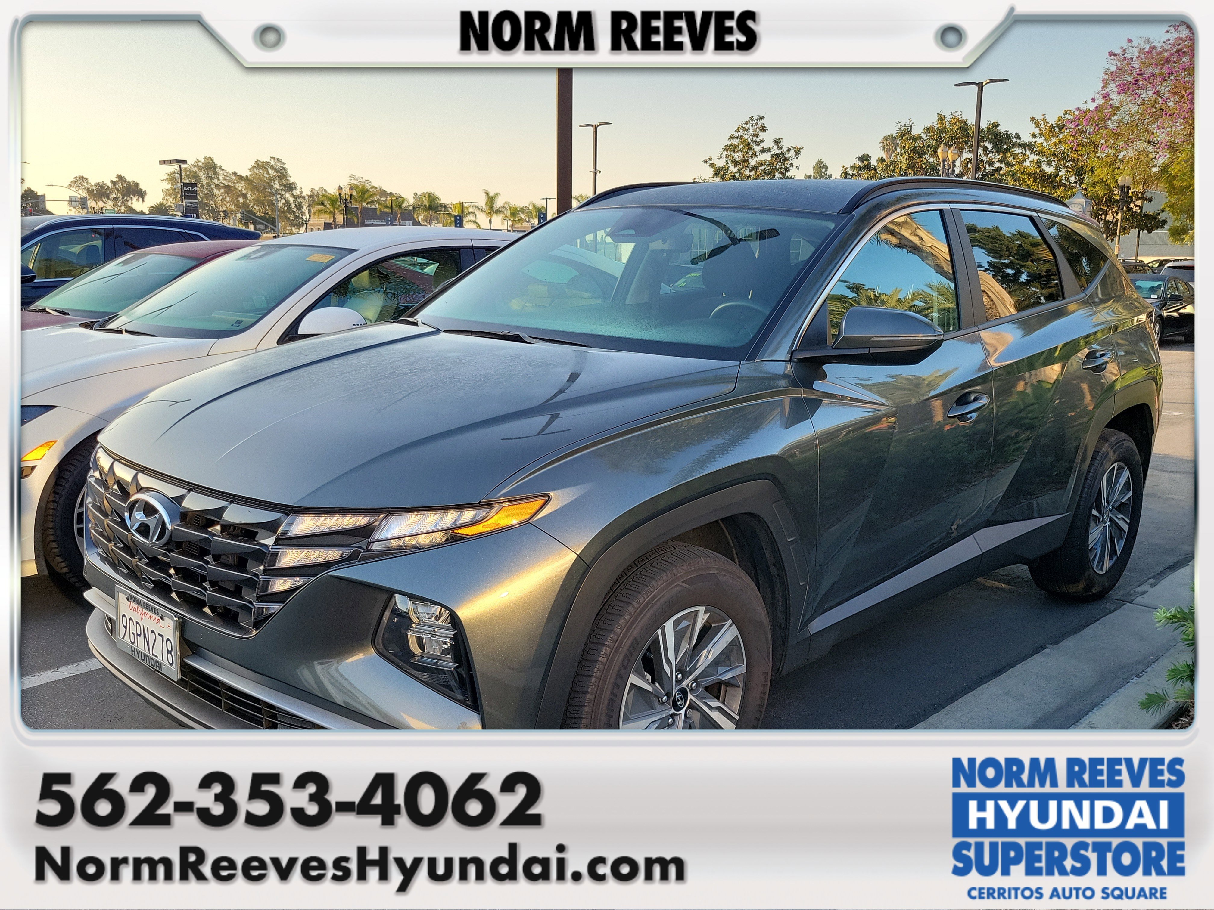 2023 Hyundai Tucson Blue HEV AWD's photo