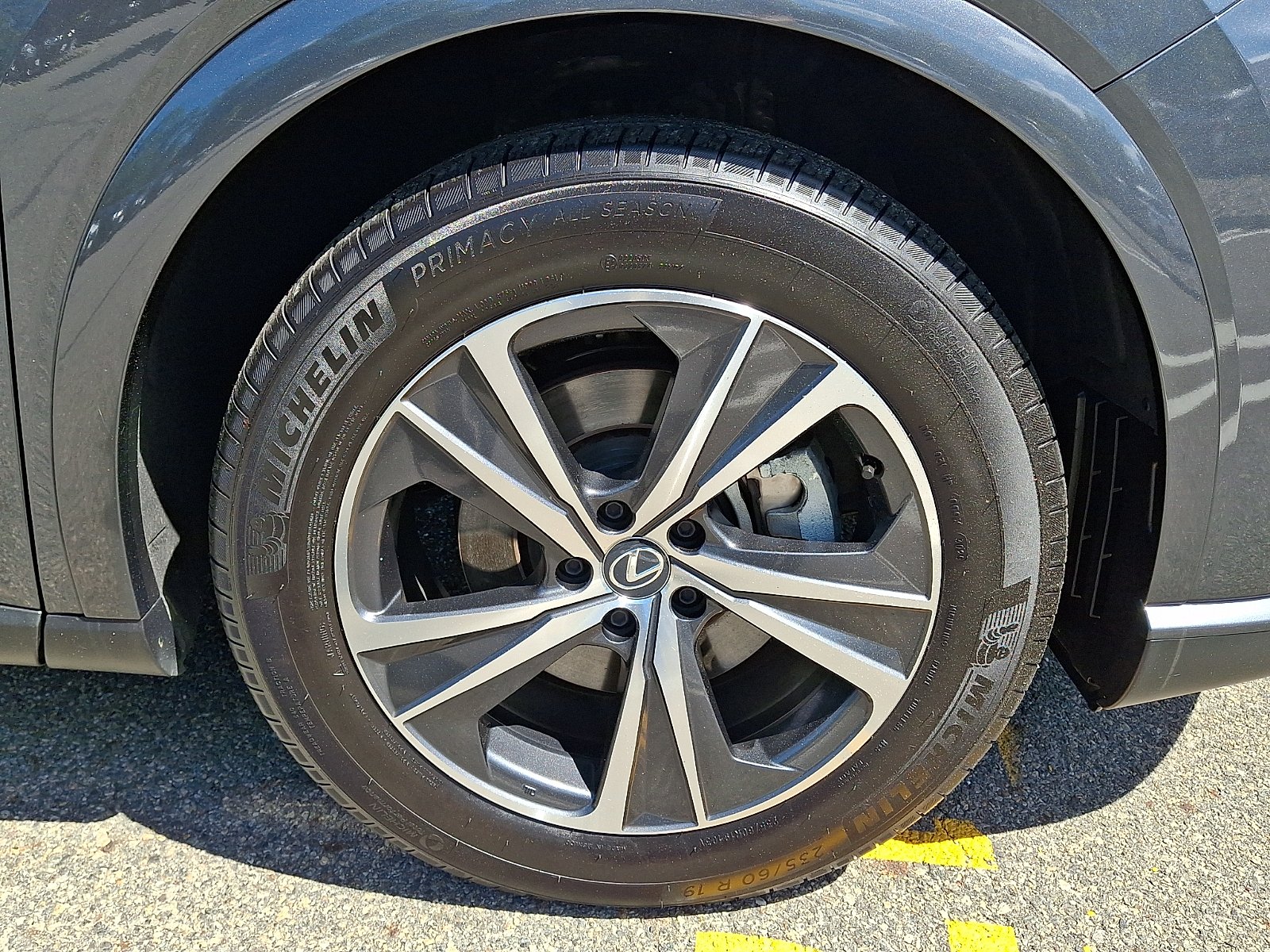 Certified Used 2025 CLOUDBURST GRAY Lexus PREMIUM image 9