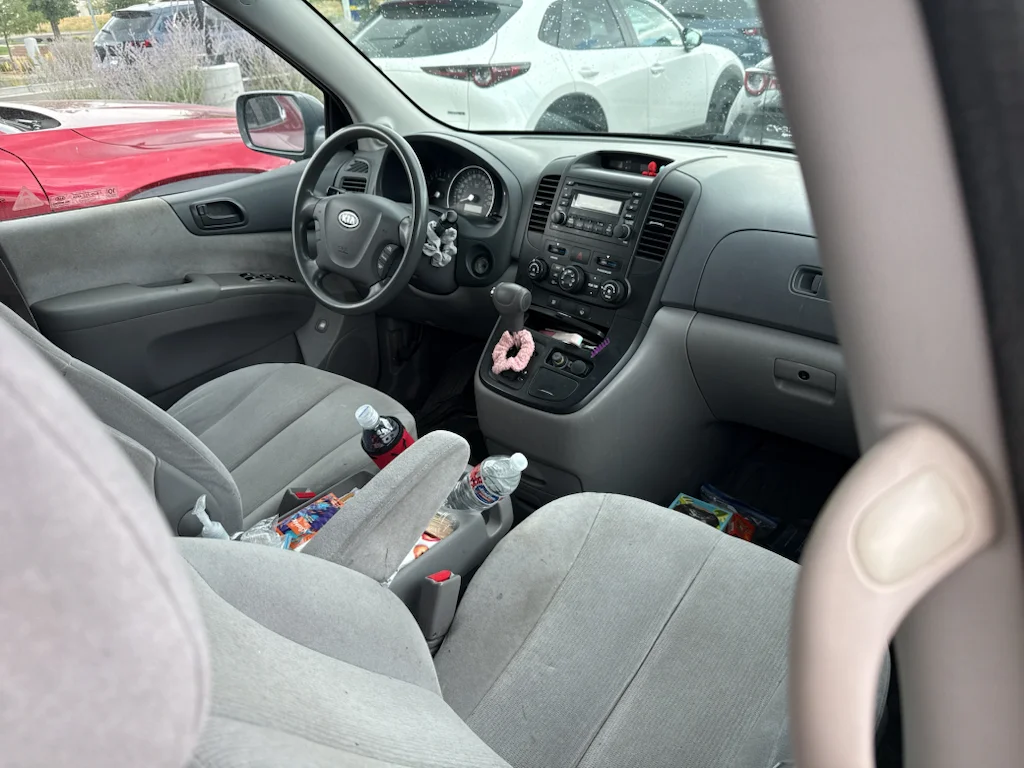Used 2008 Olive Gray Kia LX image 10