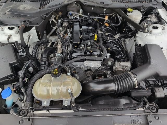 Used 2023 White Ford EcoBoost Premium image 20