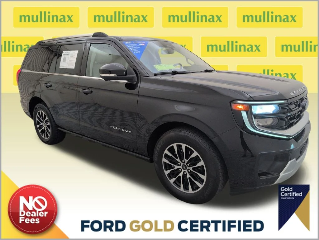 2025 Ford Expedition Platinum 4x4's photo