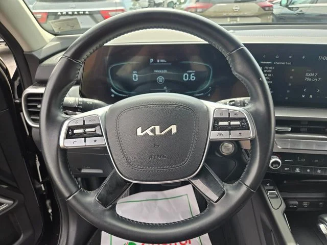 Used 2025 Panthera Metal Kia S image 31
