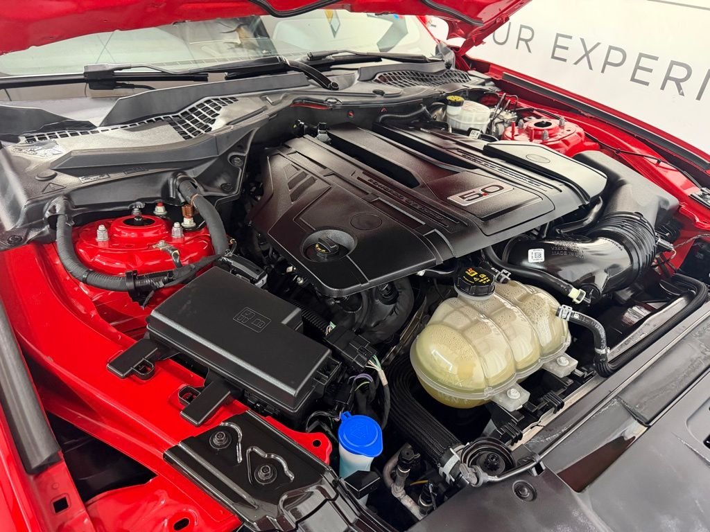 2021 Ford Mustang GT Premium - Photo 6