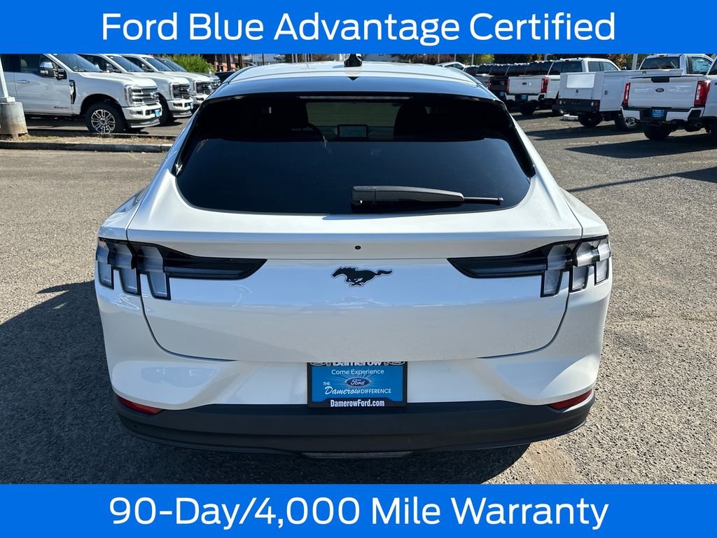 Used 2023 White Ford Select image 6
