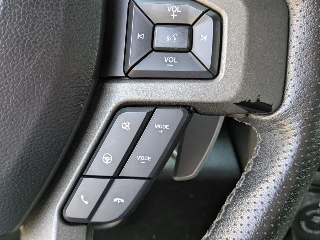 Used 2019 Gray Ford Raptor image 22